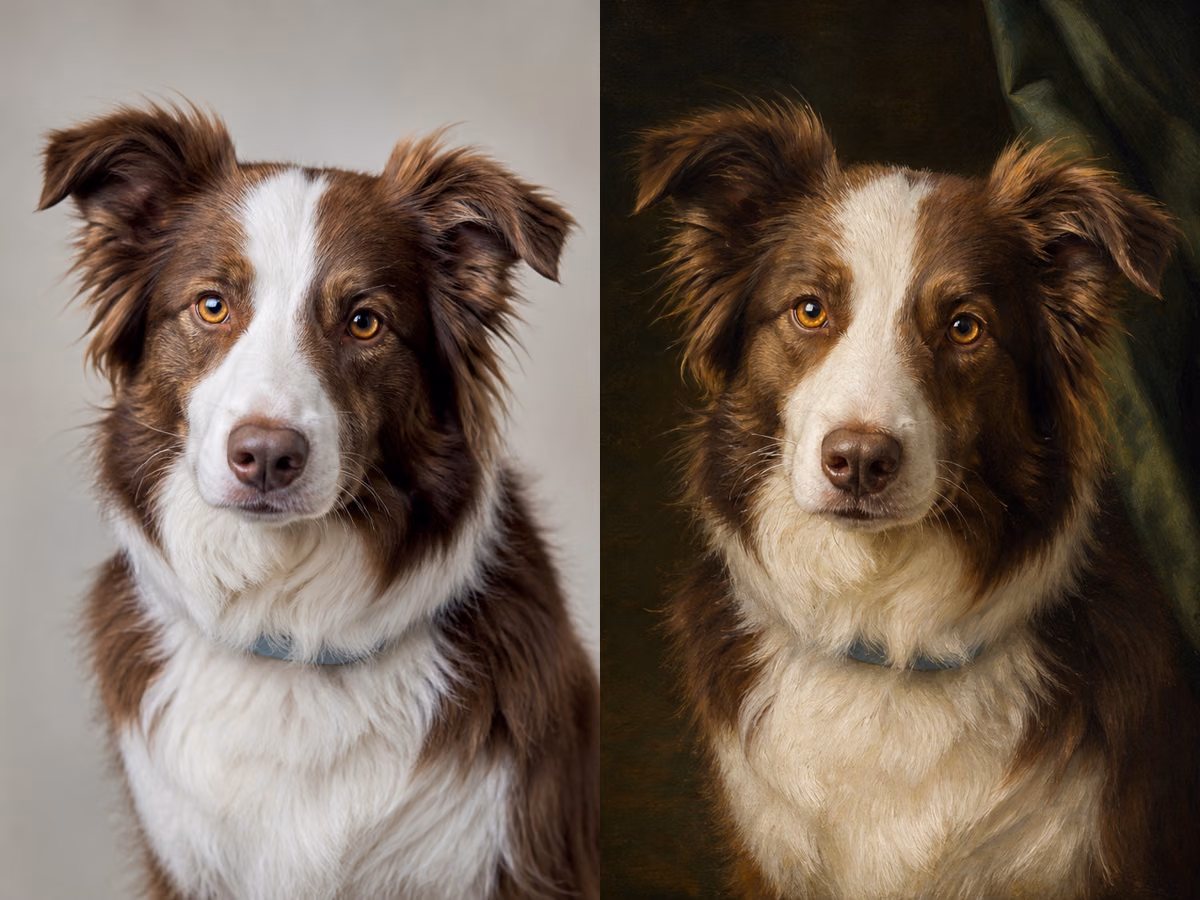 Border collie photo before and after using the free AI pet portrait generator