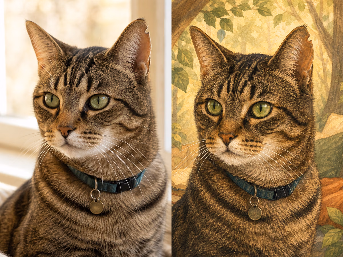 虎斑猫原照片和童话绘本结果