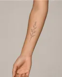 Fine botanical virtual tattoo on an adult forearm